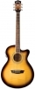 Washburn EA15 ATB Washburn EA15 ATB
